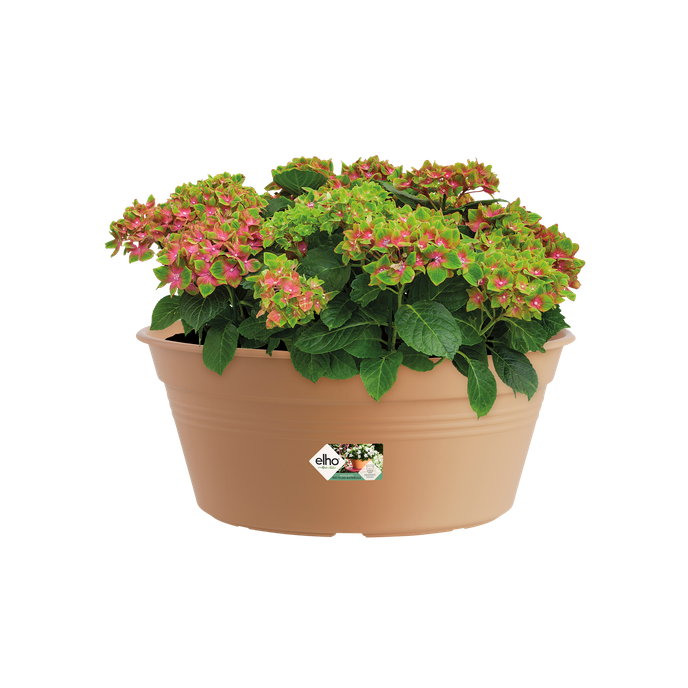 green basics bowl 33cm mild terra